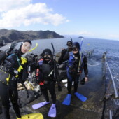 ビーチスロープ